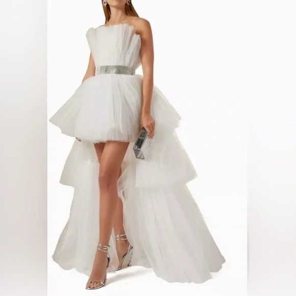 EUC Bronx and Banco Anna Tulle High-Low Strapless Gown - Picture 4 of 9